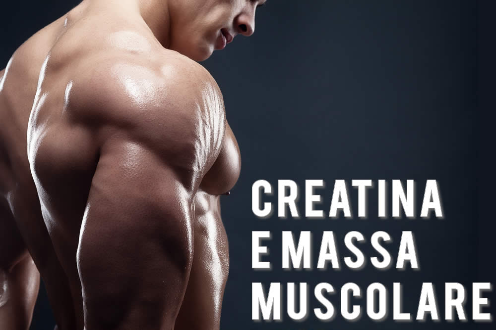 La Creatina aumenta la Massa Muscolare?