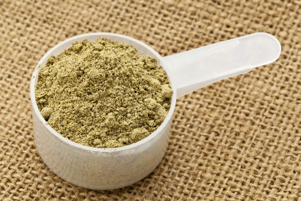 Proteine di Canapa - Gusto e Qualità Proteica - Vantaggi e Svantaggi