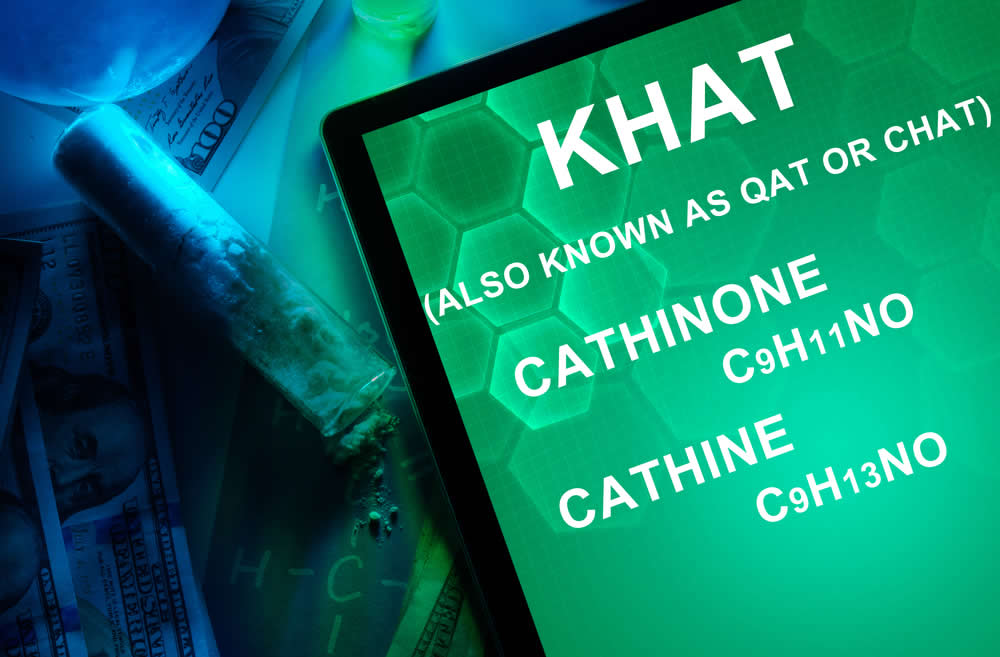Khat - Catha Edulis