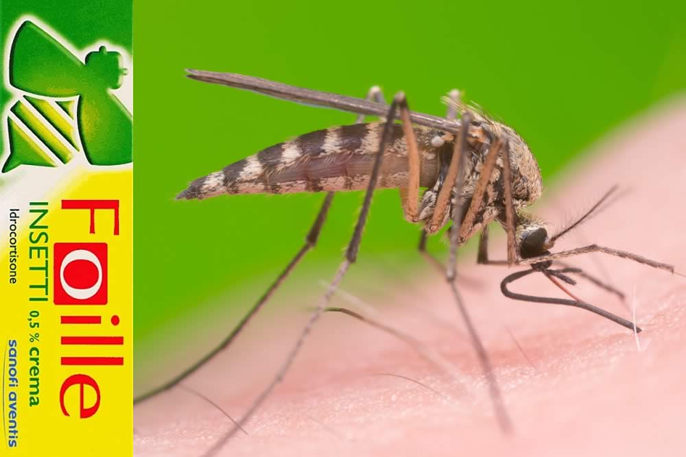 Foille Insetti 2019 - Farmaco Spiegato - Uso, Prezzo, Foglio Illustrativo