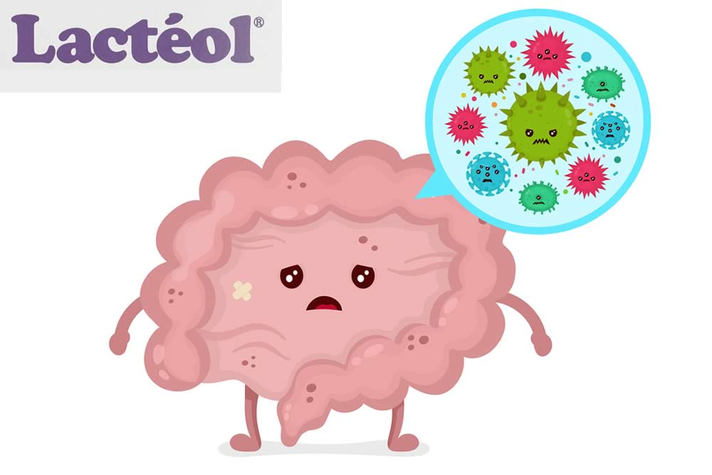 Lacteol 2019 - Probiotici per la Diarrea - Foglio Illustrativo Spiegato