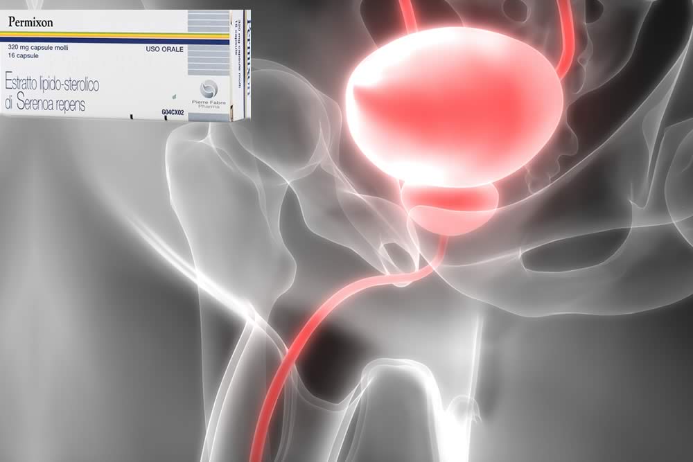Permixon 2019 - Serenoa per la Prostata - Foglio Illustrativo Spiegato