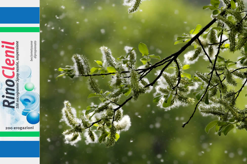 Rinoclenil - Spray Rinite Allergica e Vasomotoria - Foglio Illustrativo