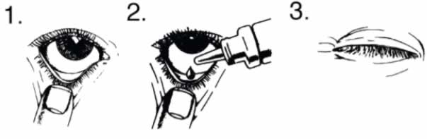 siccafluid istruzioni