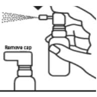 Zerinol Spray Istruzioni